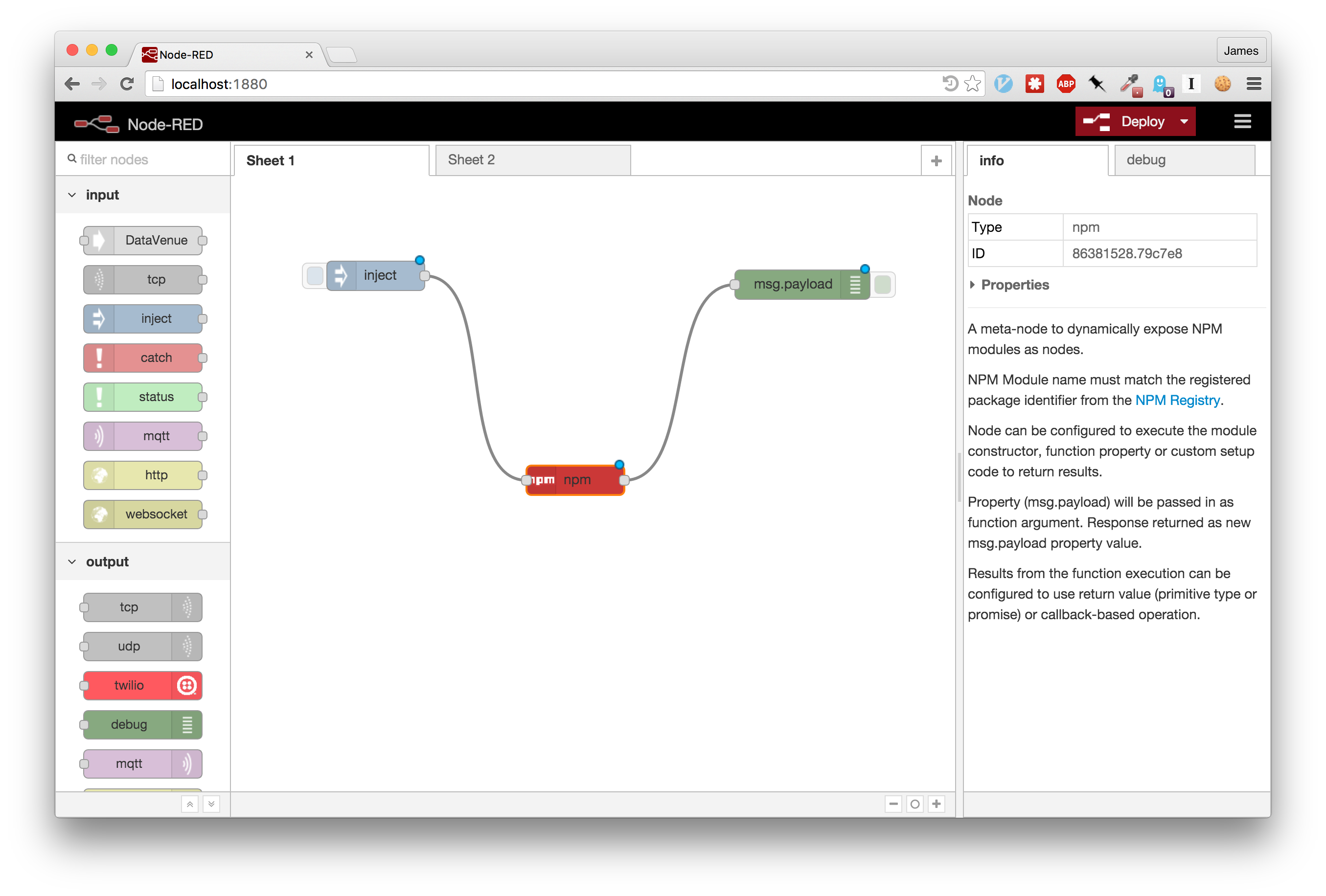 NPM in Node-RED notes on software.